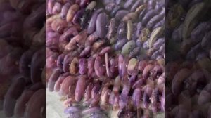 Камни в ассортименте, чипсы фри-форм