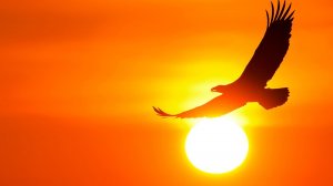 Bulat Mateyar, Vladimir Kapunkin - Saka-Dinlings, 2026