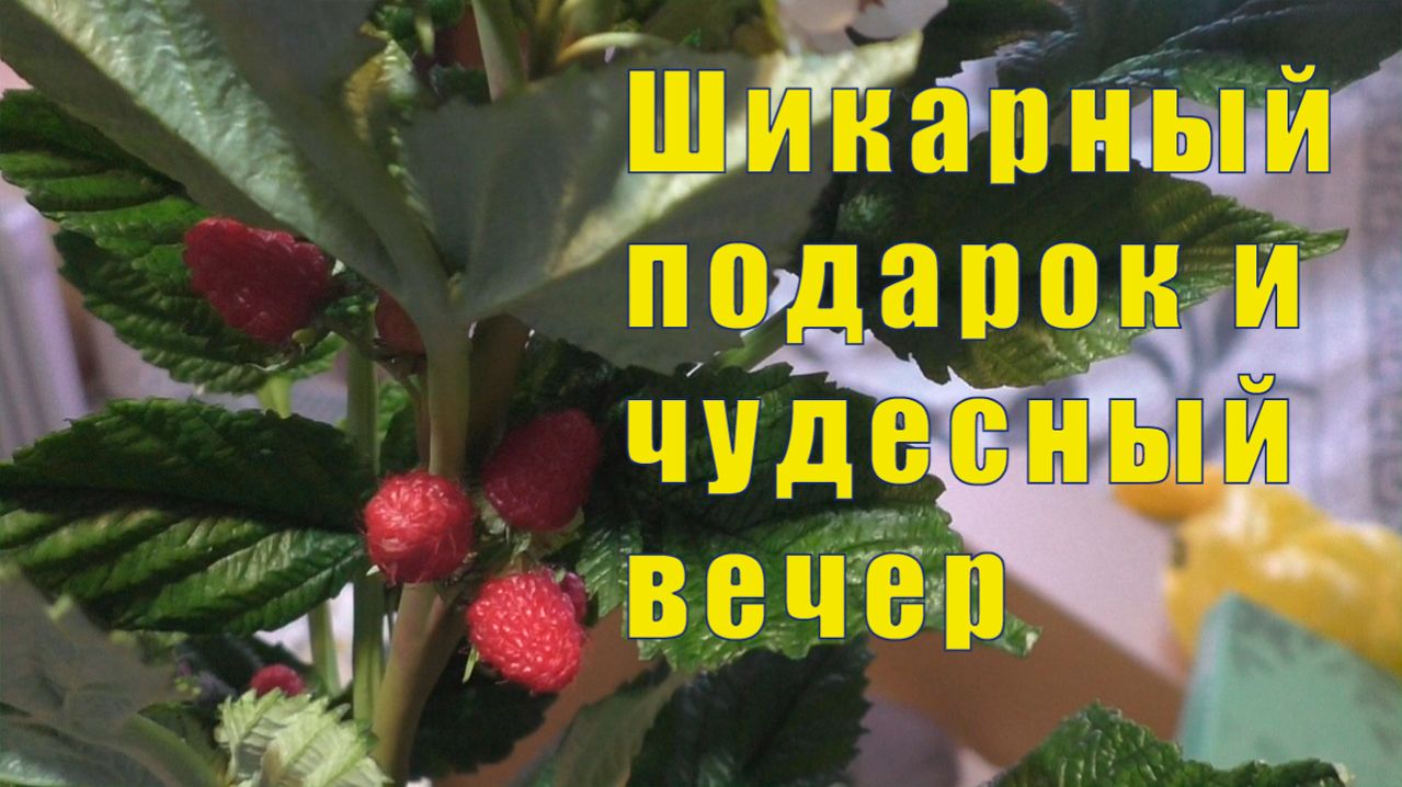 ШИКАРНЫЙ ПОДАРОК ОТ ОКСАНОЧКИ / ЧУДЕСНЫЙ ВЕЧЕР / 27 и 28 февраля 2026