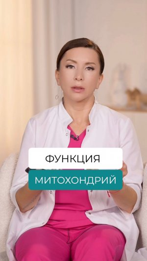 Функции митохондрий. Откуда берутся тепло и энергия в теле?