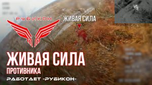 Живая сила противника. FPV-дроны «Рубикона» рвут на куски боевиков ВСУ