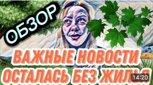 САМВЕЛ АДАМЯН, ОБЗОР ОТ *ЛЕСНОЕ ЭХО ", ВОНХ ВЫИГРАЕТ ИЛИ ПРОИГРАЕТ..