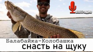 Балабайка (колобашка) — снасть для ловли хищной рыбы на живца.