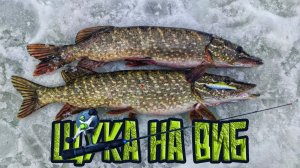 ТОП ПРИМАНКА СОБЛАЗНИЛА КРУПНЫХ ЩУК! Весенняя рыбалка 2026