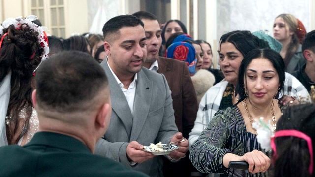 17.2.2026 начало.veg