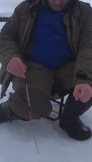 Новый метод ловить!Стучалка! shorts