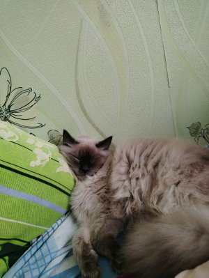 GRWM на вокал