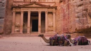 Коран сура Ар-Рад чтец Мухаммад аль-Факих