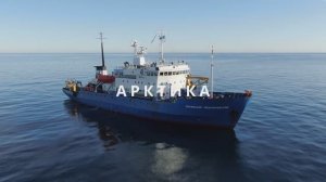 Экспедиция «Плавучего университета» в акваторию Чукотского моря. Часть 1. Вступление. Арктика.