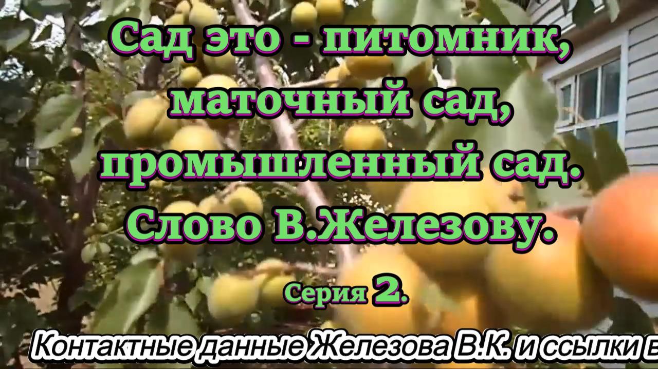 Сад это - питомник, маточный сад, промышленный сад. Слово В.Железову. Серия 2.