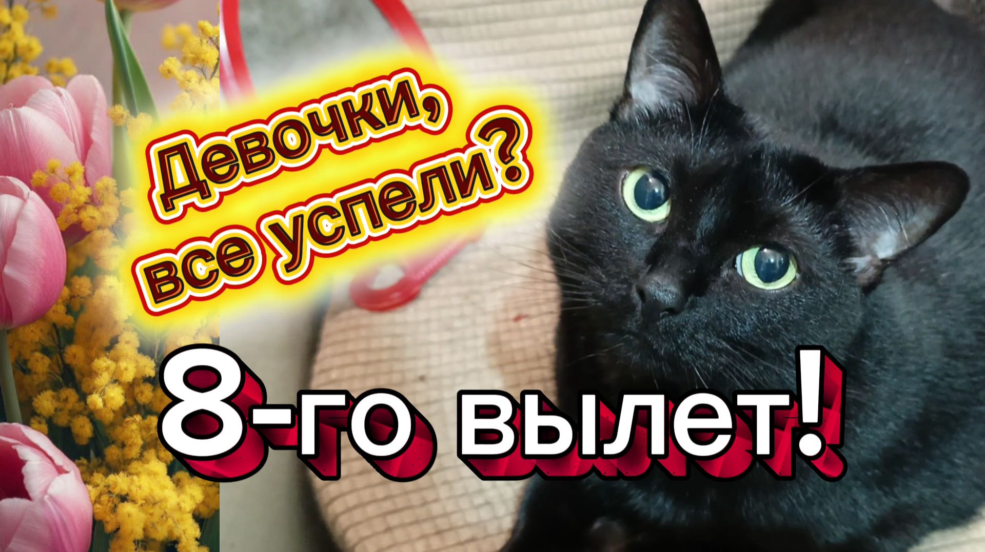 ДЕВОЧКИ, 8-го ВЫЛЕТ! ВСЕ УСПЕЛИ..?