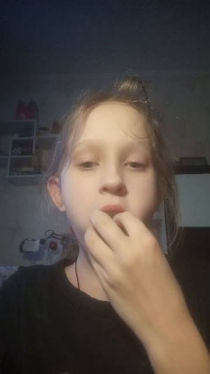 пухлый кролик