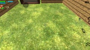 5 ночей с чикинами