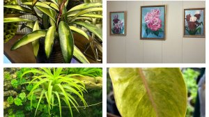 Первые всходы! И радостно и грустно! Злостные нарушители порядка!