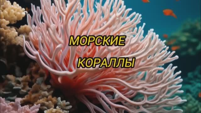 Морские кораллы, интересная коллекция с Филиппинских островов