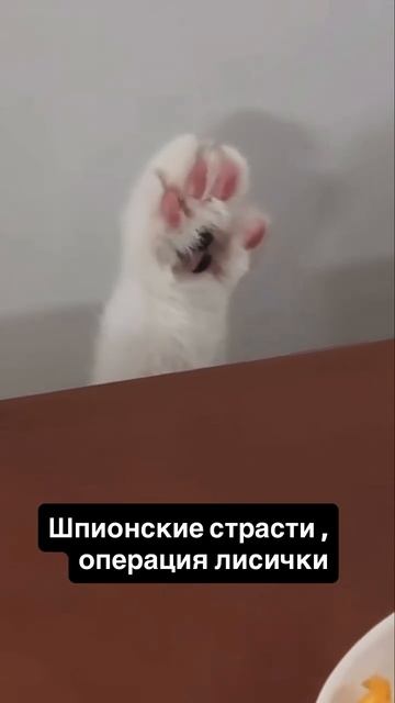 Шпионские игры