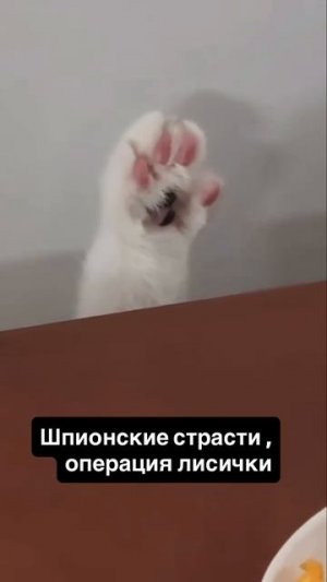 Шпионские игры