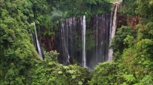 КАКИЕ В ЭТОМ ГОДУ БУДУТ ОТМЕЧАТЬСЯ СИМПТОМЫ ТРАНСФОРМАЦИИ