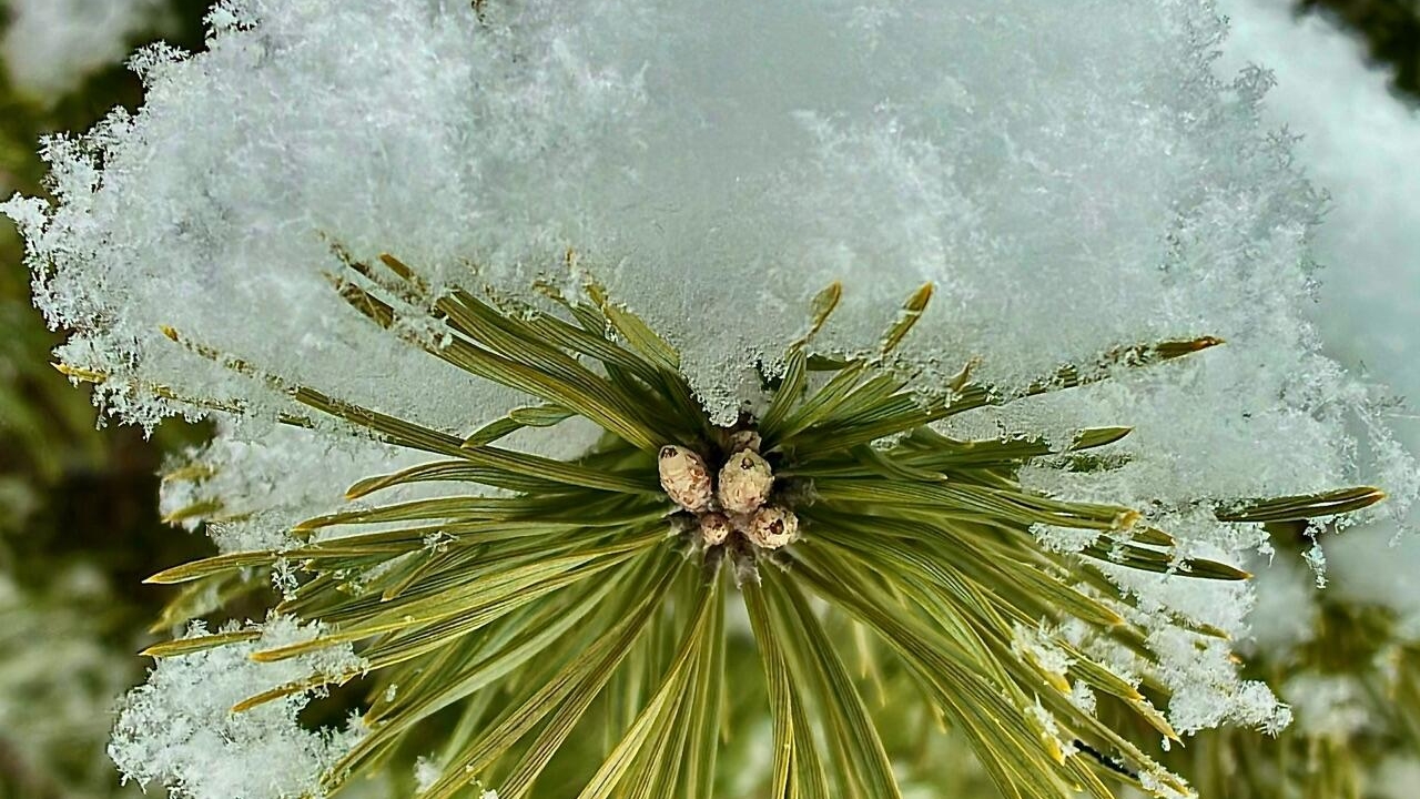 Ждете важное событие?Сбудется ли?🤔