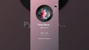 Руми Весенний дождь смывает слёзы грусти