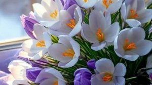 Доброе солнечное утро. Шикарная музыкальная открытка