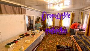 Огородные новички.