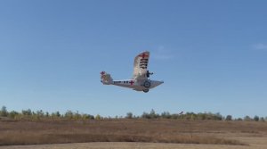 Петрович ох Петрович ,мечта...