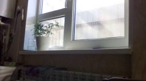 рожок с шариками