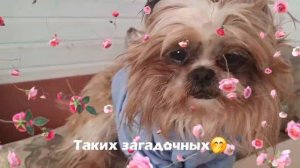 8 марта🌸🌺🎁.Поздравляем 🎉