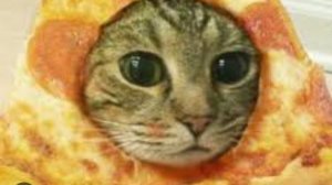 РАЗДАЧА РЕСОВ