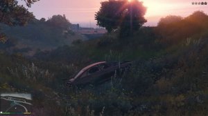 играю в  гта 5