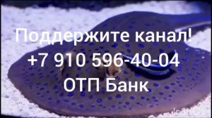 Правдивая Ольга. Анжелика Снежинская.Мы с союзником всех уничтожим!