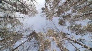 СБОРНИК КРАСИВЫХ МЕЛОДИЙ ДЛЯ ДУШИ Музыка Сергей Грищук @grishchuksergey