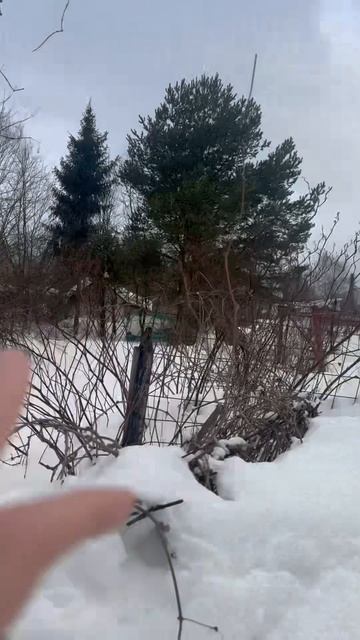 Участок Марфино