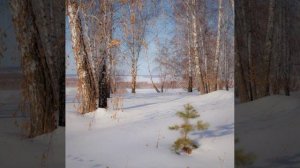 Ни то ни сё © Copyright: Бронислав Сычёв, 2026
Свидетельство о публикации №126030602726