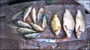 ✔Вторая летняя рыбалка🎣✔