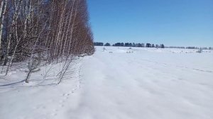 ВЕСЕННИЙ БИОУЧËТ ЗВЕРЕЙ ПО СЛЕДАМ.
