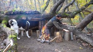 XAKAN _ Строим тайник под упавшим деревом для выживания.