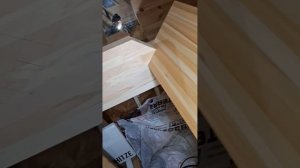 1000050373.mp4 (Собака наблюдает за устройством лестницы на 2-ой этаж в доме А-фрейм)