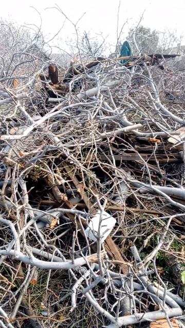 Бензопила MANCRAFT SRT-5000