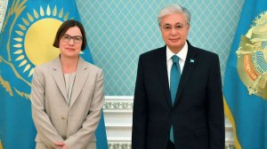 Токаев обсудил гуманитарные проекты с главой Международного комитета Красного Креста