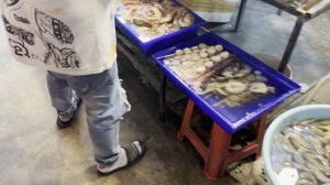 Зимовка в Тайланде с годовасиком 22.1.26 Пляж и лобстер пати. Дорогой ужин