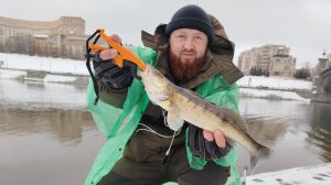 СУДАЧЁК В ВОСТОРГЕ ОТ ПРОВОДКИ И МОНТАЖА/РЫБАЛКА НА СПИННИНГ