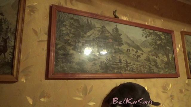 Супер - Кот Джимка.