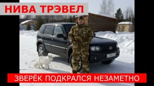 НИВА ТРЭВЕЛ ЗАБЛОКИРОВАЛИСЬ ДВЕРИ КАК ОТКРЫТЬ? |ЧАСТЬ 1|