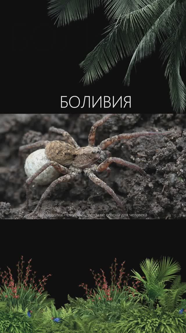 Самый ОПАСНЫЙ ПАРК на планете!