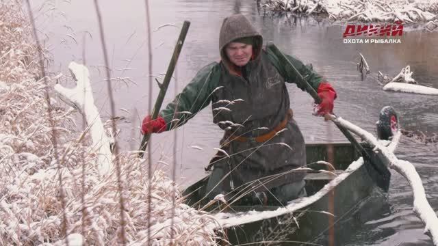 Капканы с якорной фиксацией на норку и бобра. Звероловы.