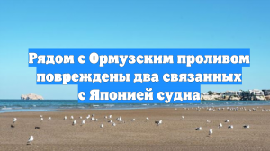 Рядом с Ормузским проливом повреждены два связанных с Японией судна