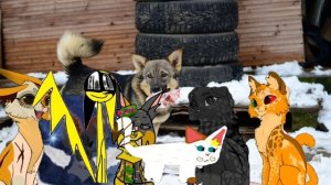 коллаб с КУЧЕЙ квшников