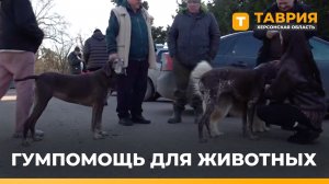 Гуманитарную помощь для животных передали в Скадовский округ
